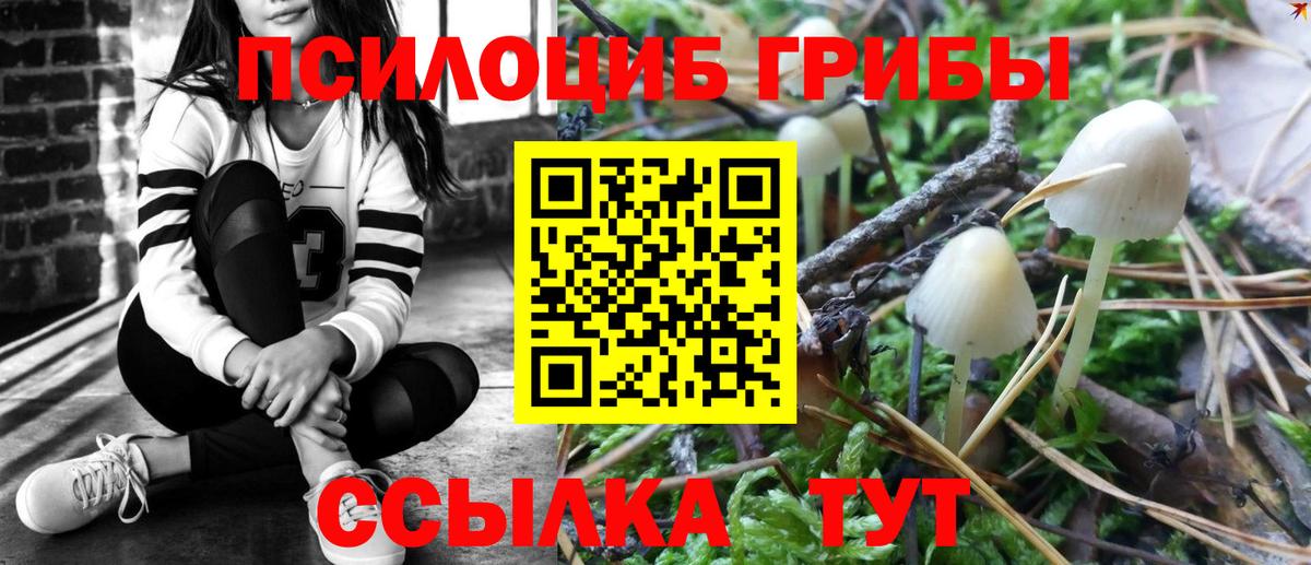 Псилоцибиновые грибы ЛСД  Вход с VPN  Клинцы 